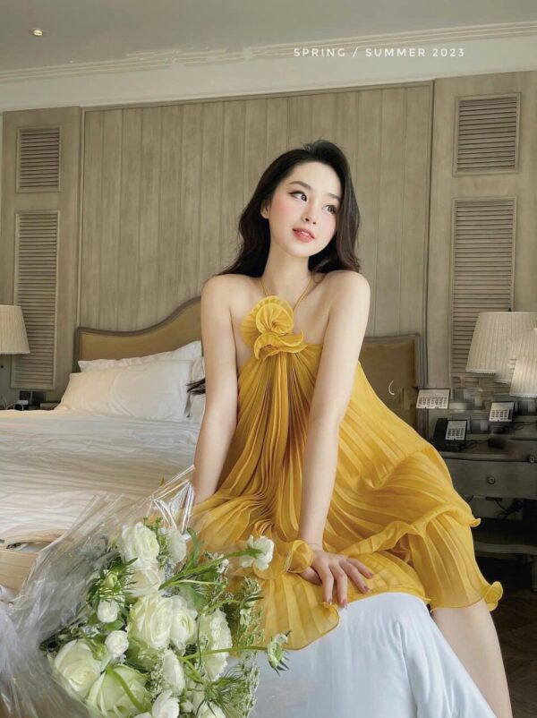Giới thiệu về dập ly vải Hải Sơn Giới thiệu về dập ly vải Hải Sơn