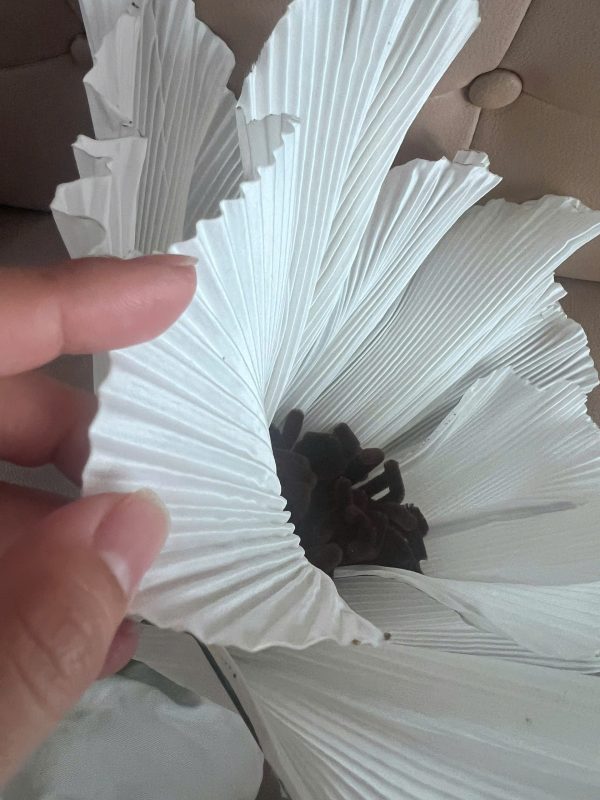 Hinh web 2 Hinh web 2